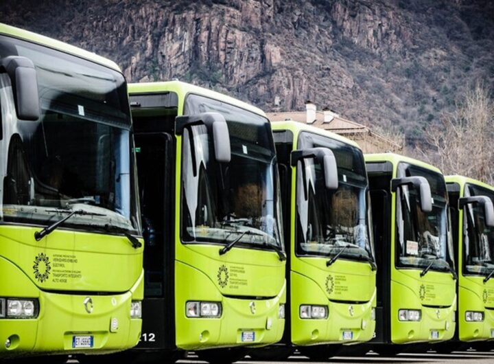 Bus