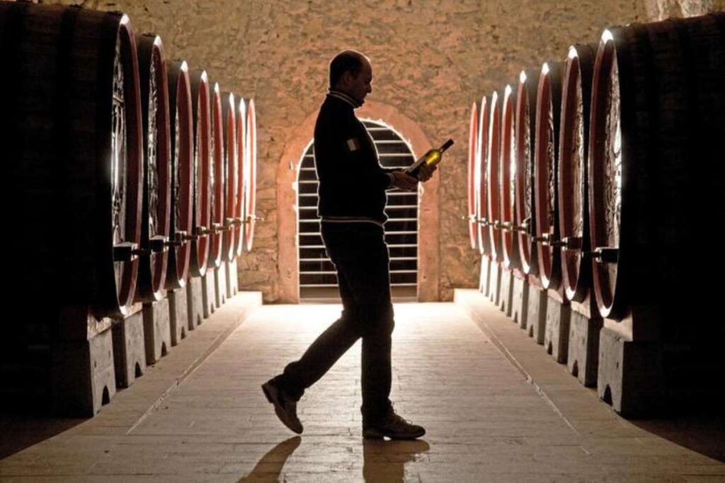 cantina vino