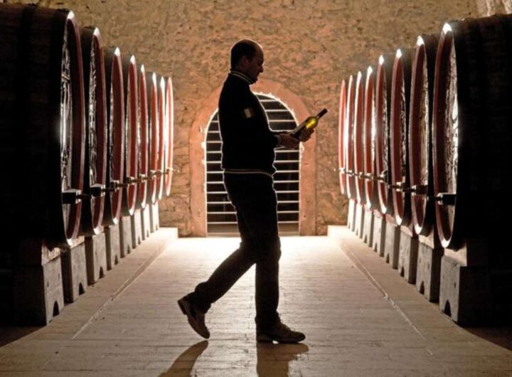 cantina vino