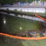 darsena chiazza