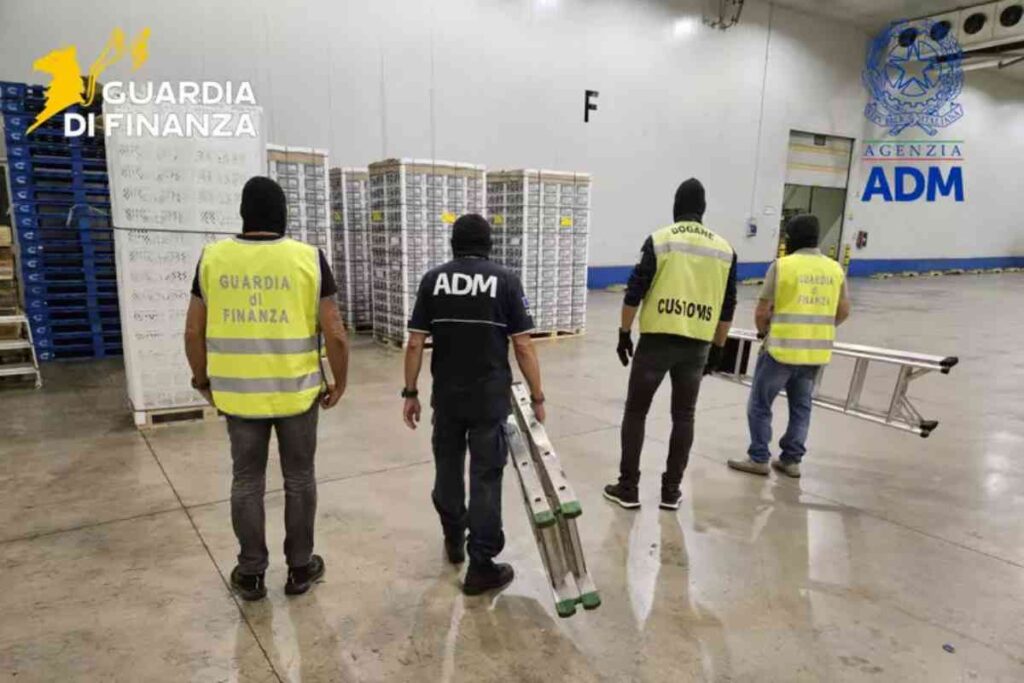 droga sequestrata porto livorno