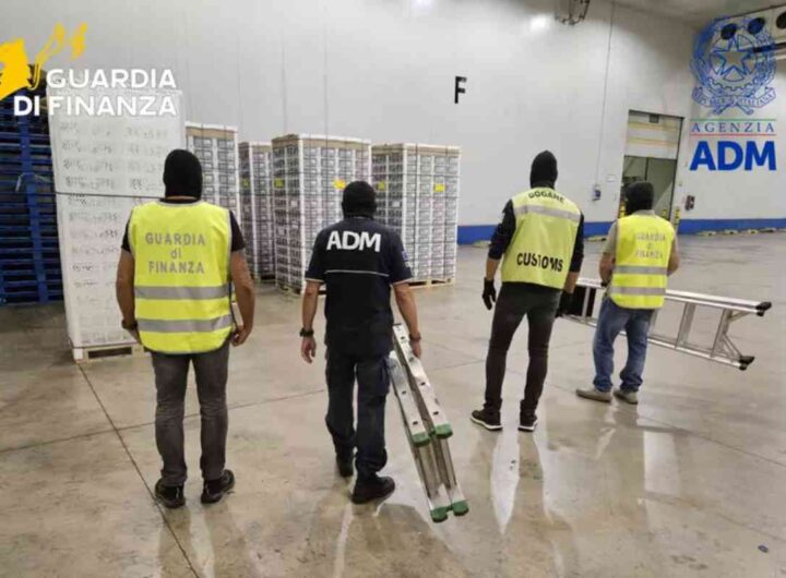 droga sequestrata porto livorno