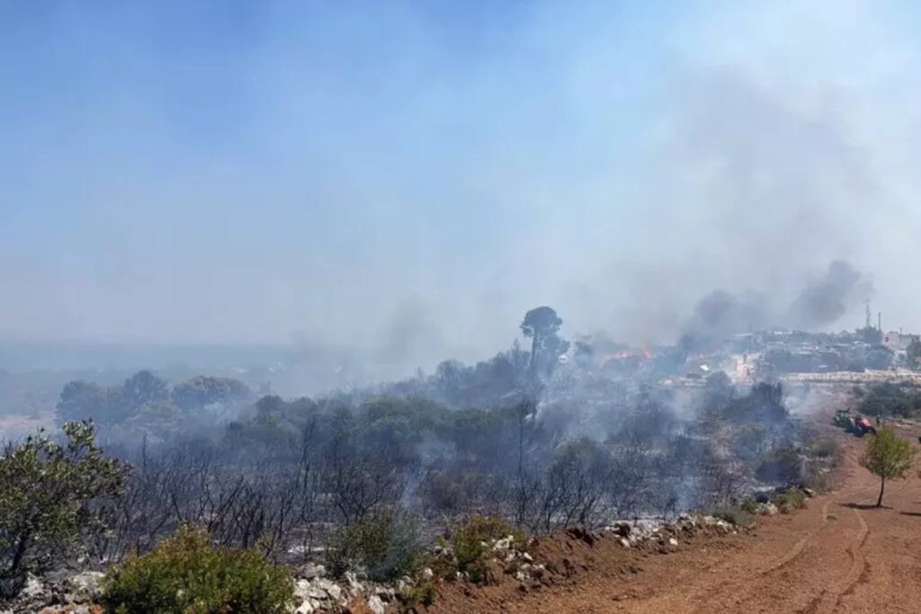 incendi gargano