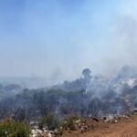 incendi gargano