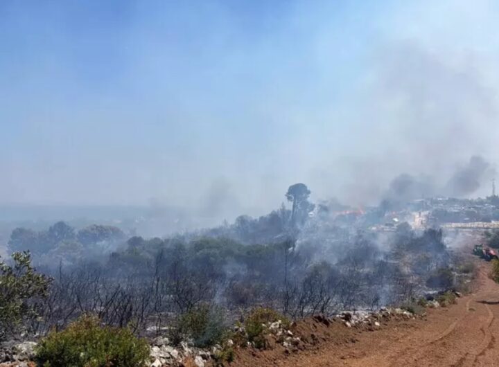 incendi gargano