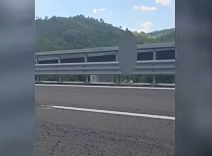 omicidio a1