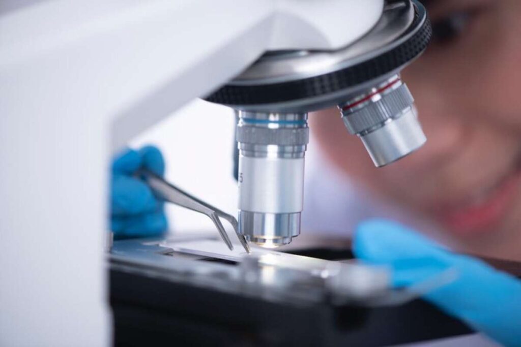 microscopio