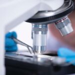 microscopio