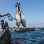 pescatori francesi