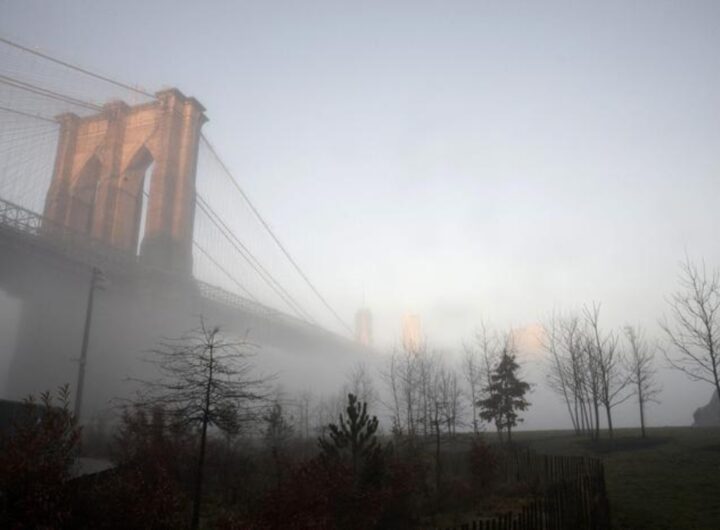 ponte di brooklyn