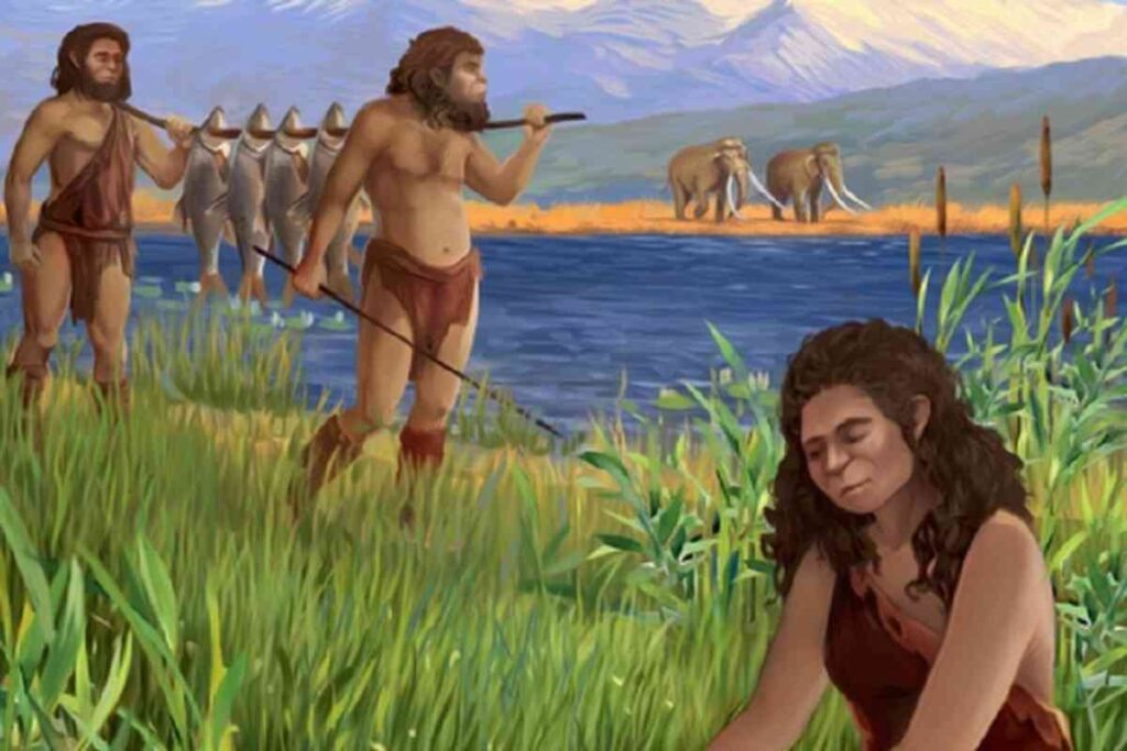 primitivi