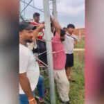 Il tecnico indiano legato al ripetitore