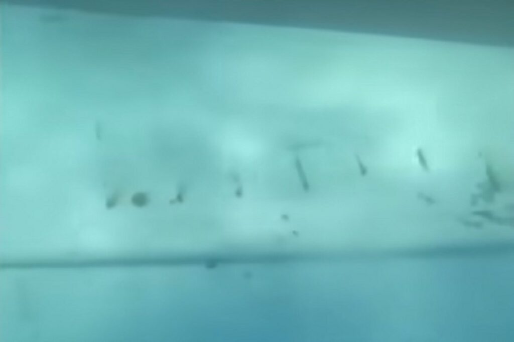 Il video sott'acqua del traghetto affondato in Indonesia, dispersi 129 passeggeri