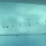 Il video sott'acqua del traghetto affondato in Indonesia, dispersi 129 passeggeri