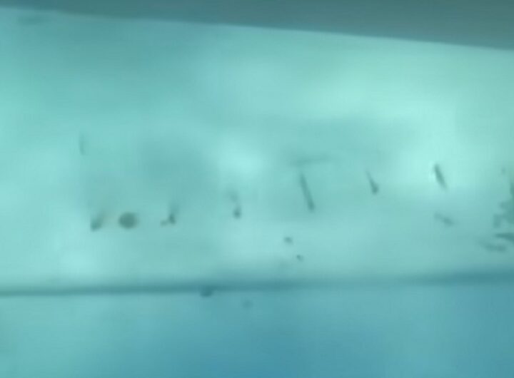 Il video sott'acqua del traghetto affondato in Indonesia, dispersi 129 passeggeri