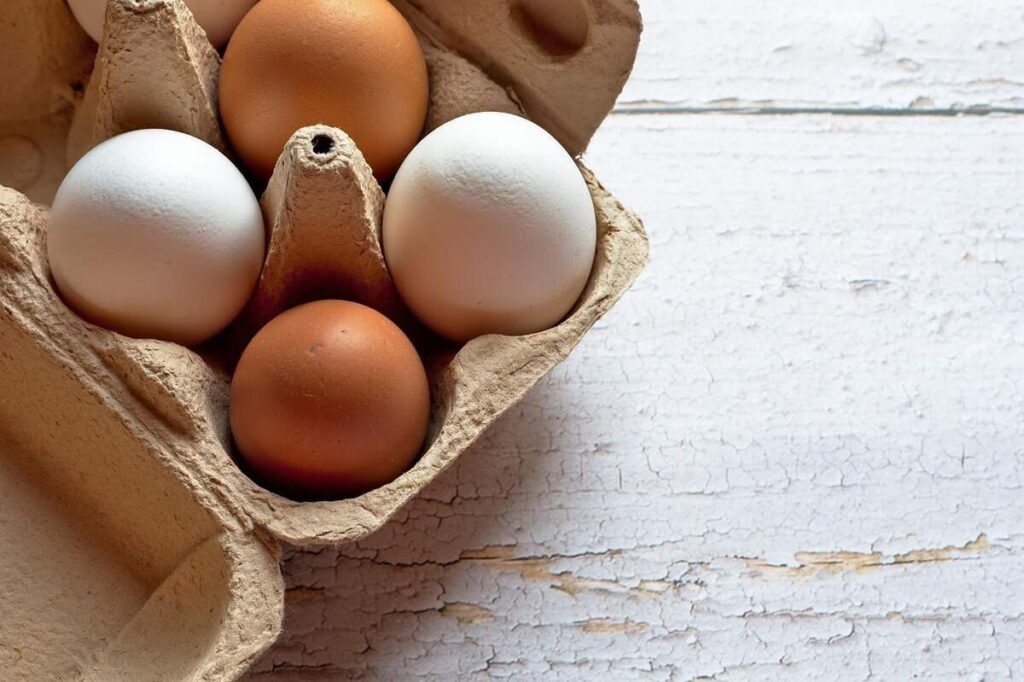 uova bianche e marroni