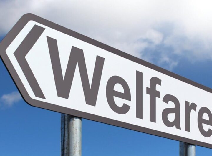 Welfare