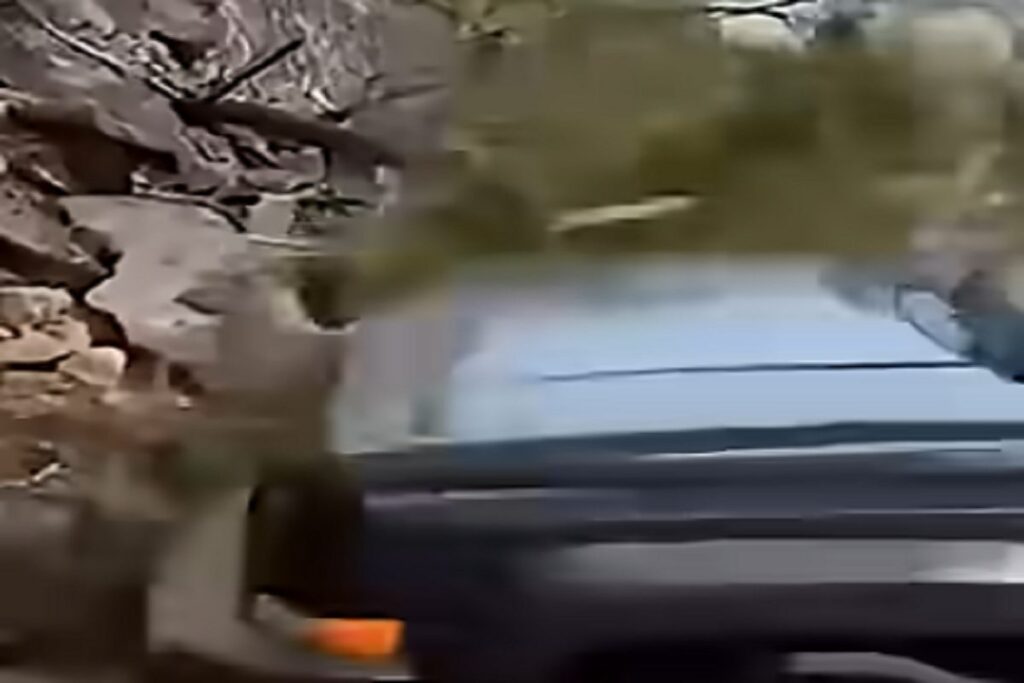 Il video choc della giornalista che in Messico viene travolta da un'auto in diretta tv