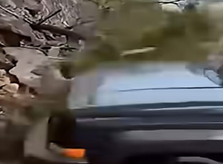 Il video choc della giornalista che in Messico viene travolta da un'auto in diretta tv