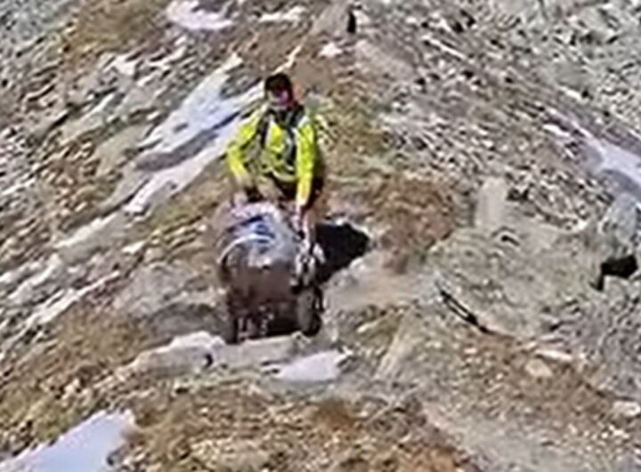 birra alpi
