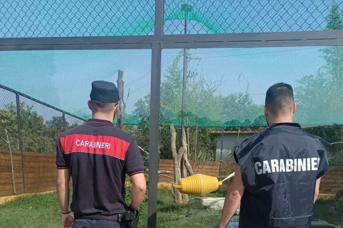 carabinieri