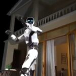Robot