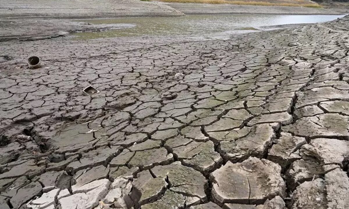 Un terreno arido