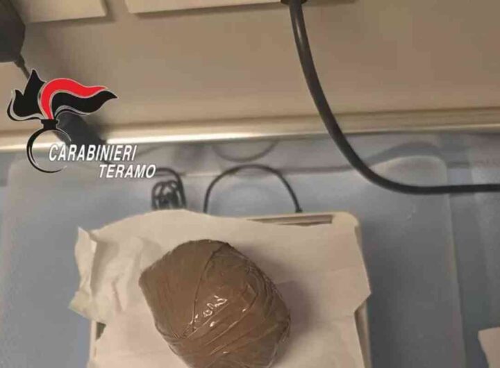 droga trovata cane tartufi
