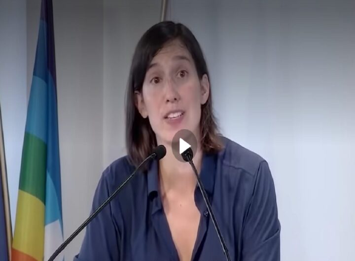 Elly Schlein parla del suo Pd