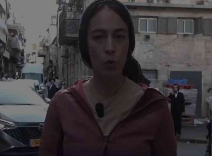elena testi