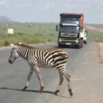 mombasa road