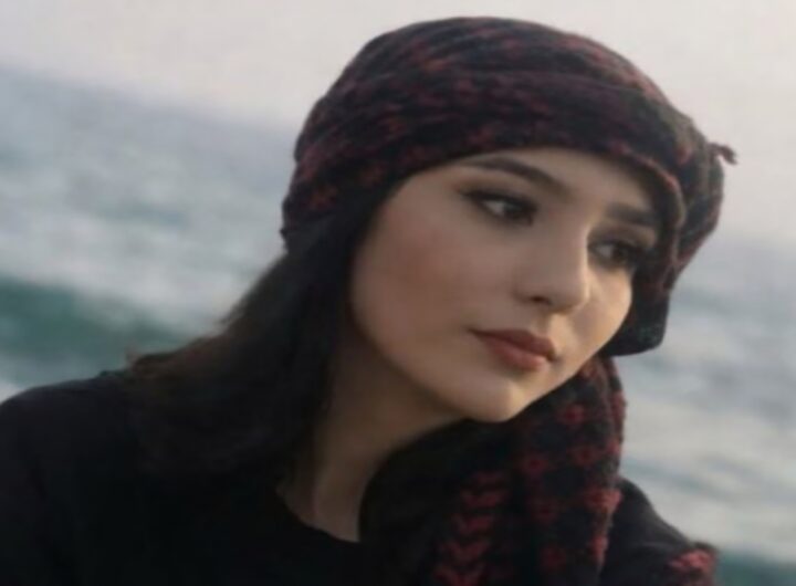 najmeh amini