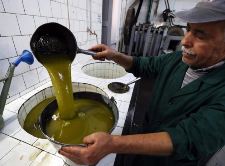 olio evo