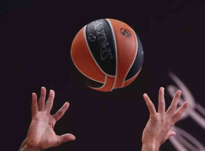 palla basket