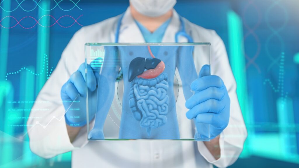 pancreas