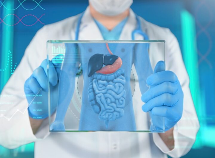 pancreas