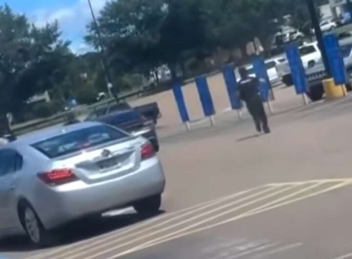poliziotto spara auto mississipi