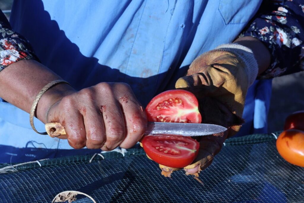 Un pomodoro