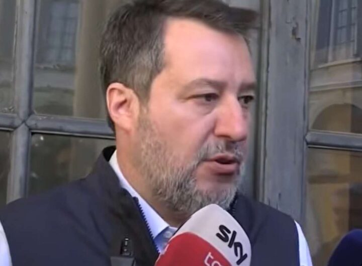 salvini lince