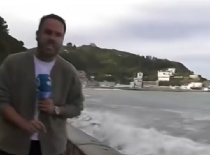 Giornalista