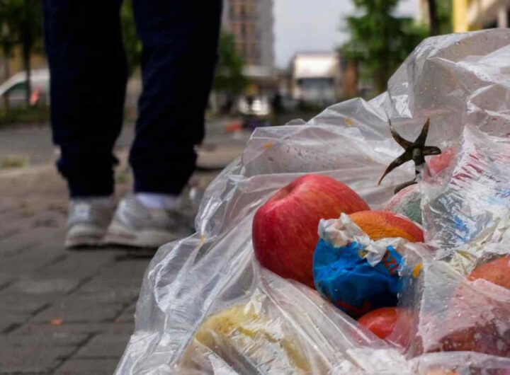 Spreco alimentare