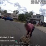 Il video della fuga più lenta del mondo: la tartaruga Lard scappa di casa ma alla fine viene riportata dal proprietario