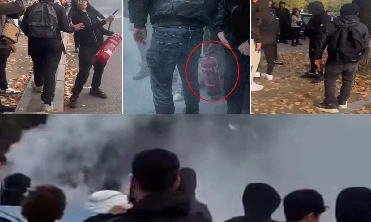 Proteste a Torino, studenti usano estintori