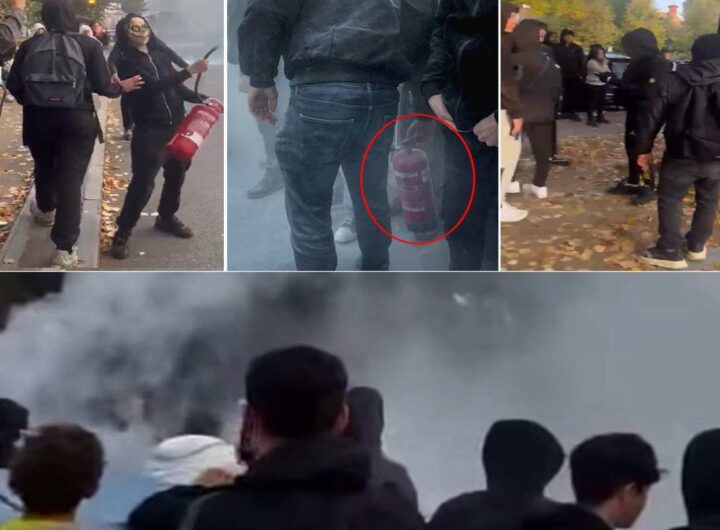 Proteste a Torino, studenti usano estintori