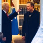 trump musk