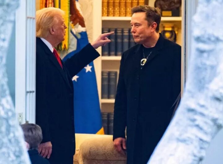 trump musk