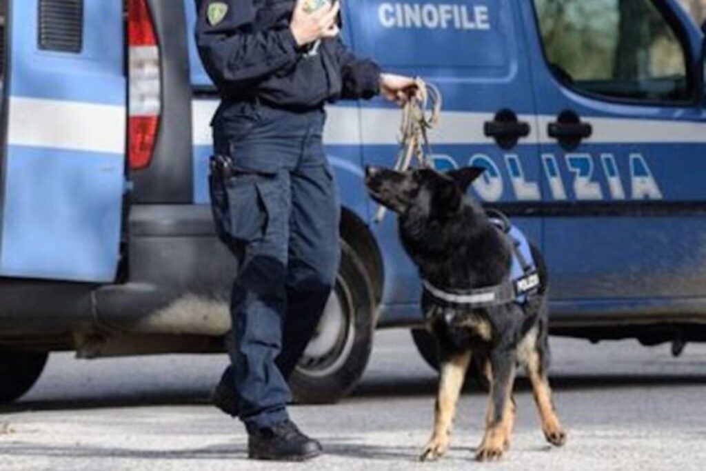 unità cinofile
