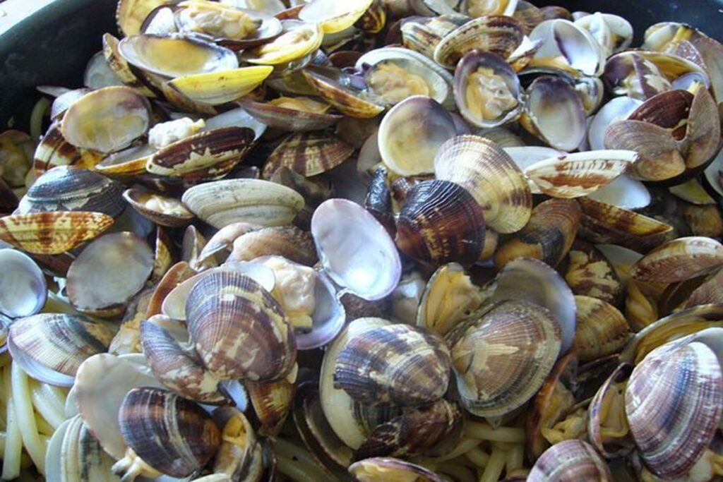 Vongole