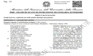 Maturità 2017, prima prova italiano: le tracce TESTO INTEGRALE-PDF