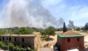 Roma: vasto incendio a Casetta Mattei. Fiamme partite dalle sterpaglie
